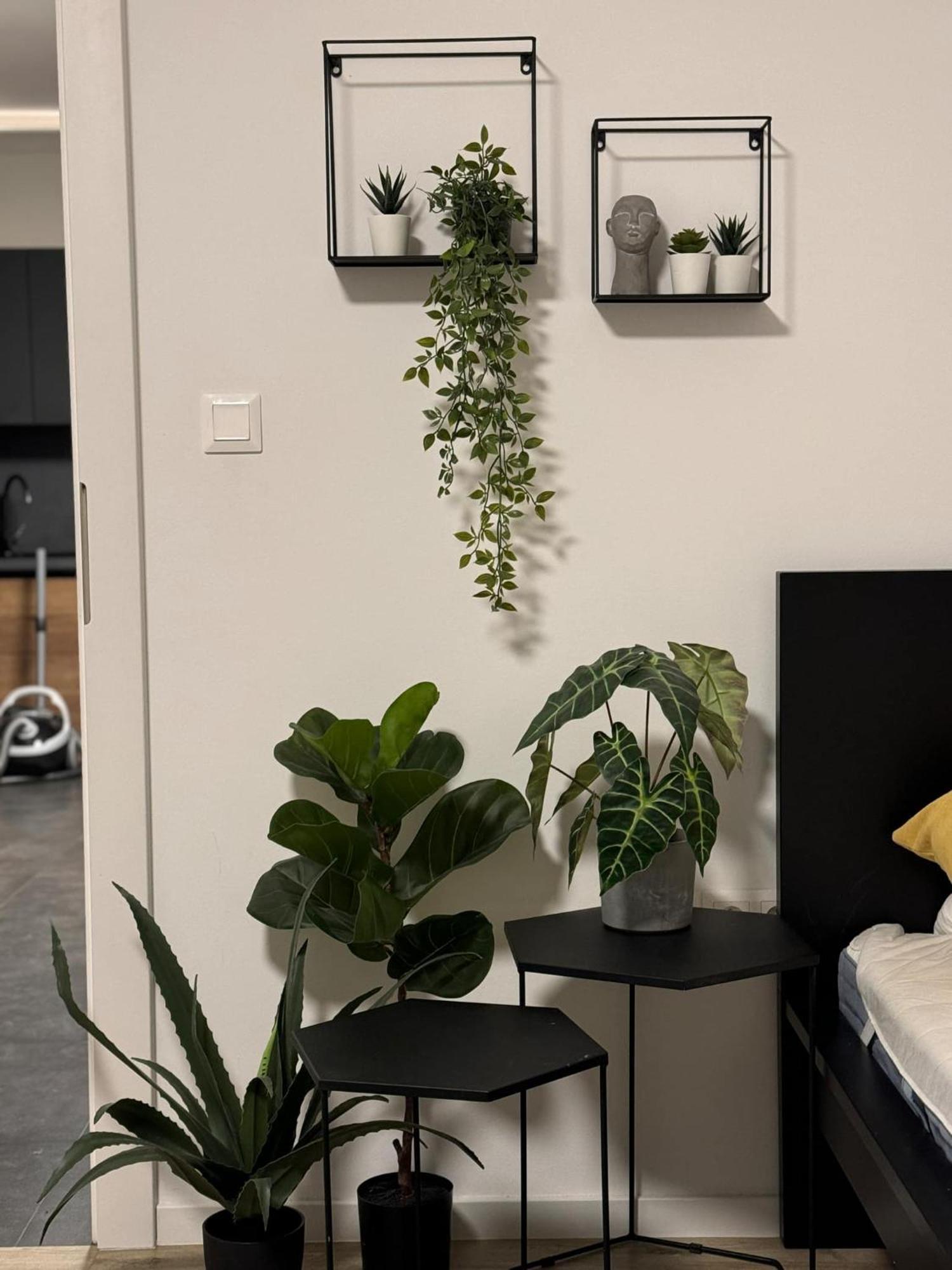 Apartmany Elli Mýto pod Ďumbierom エクステリア 写真