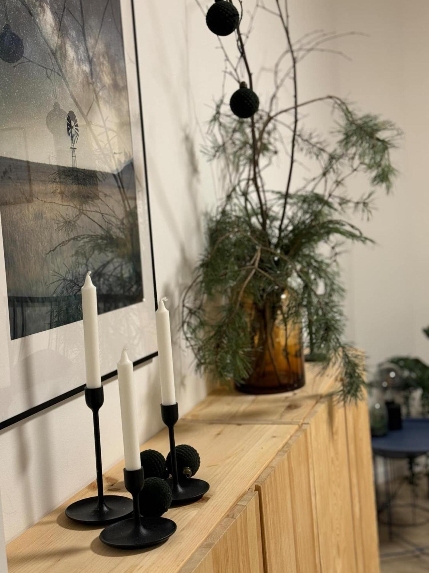 Apartmany Elli Mýto pod Ďumbierom エクステリア 写真
